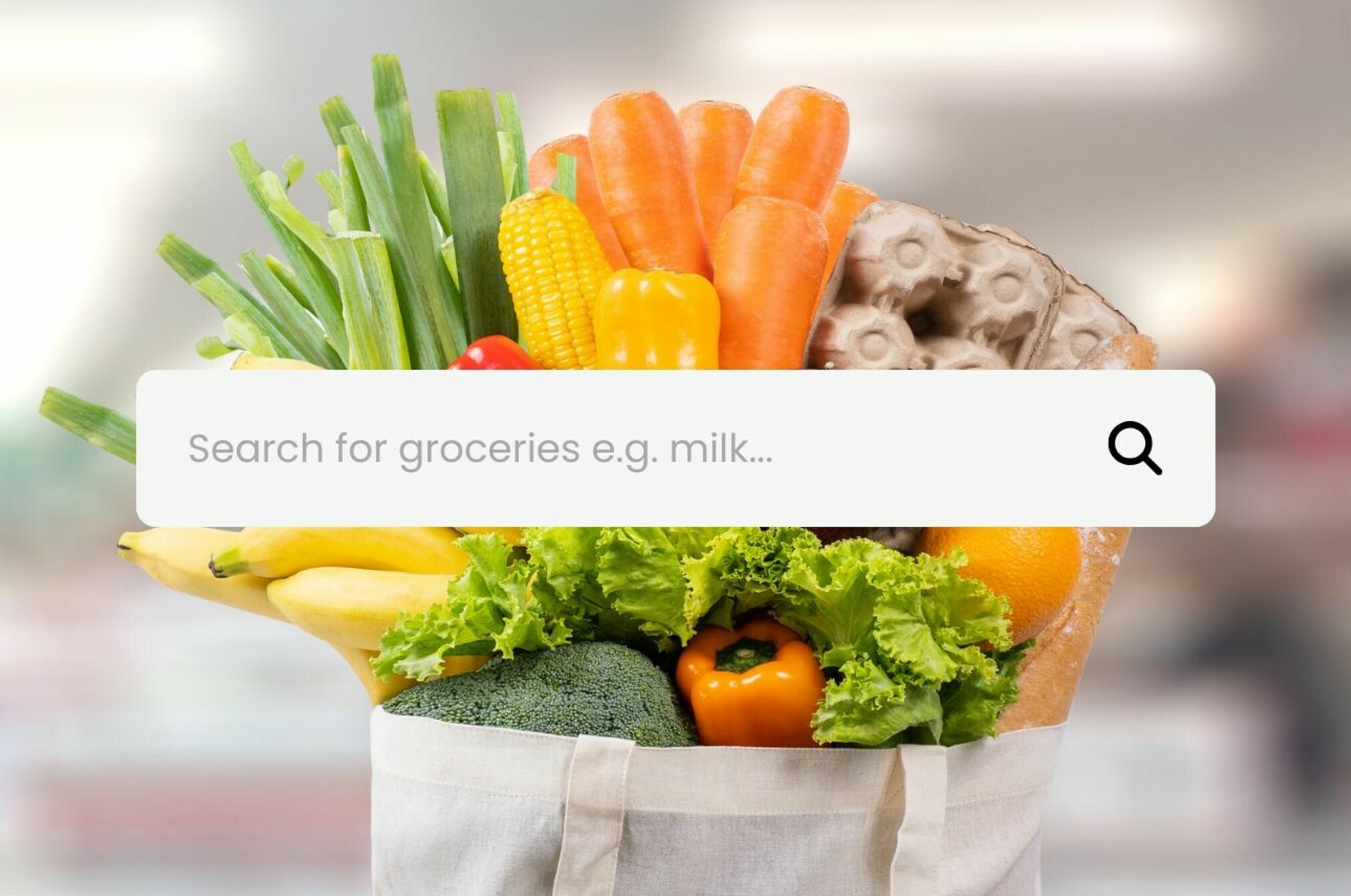 Website promo image 1290 x 860 58