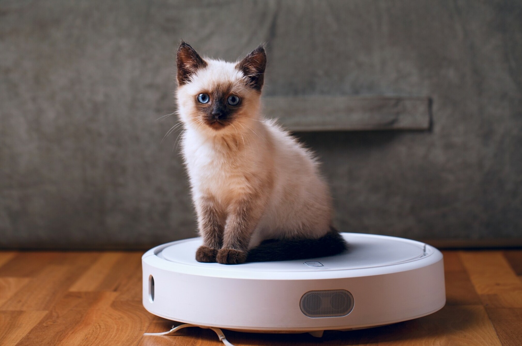 Robot vacuum
