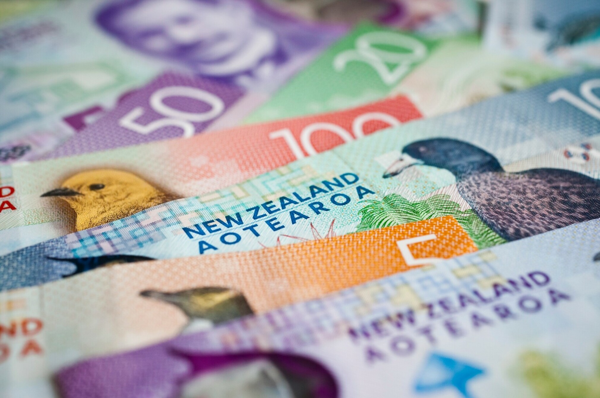 Nz money