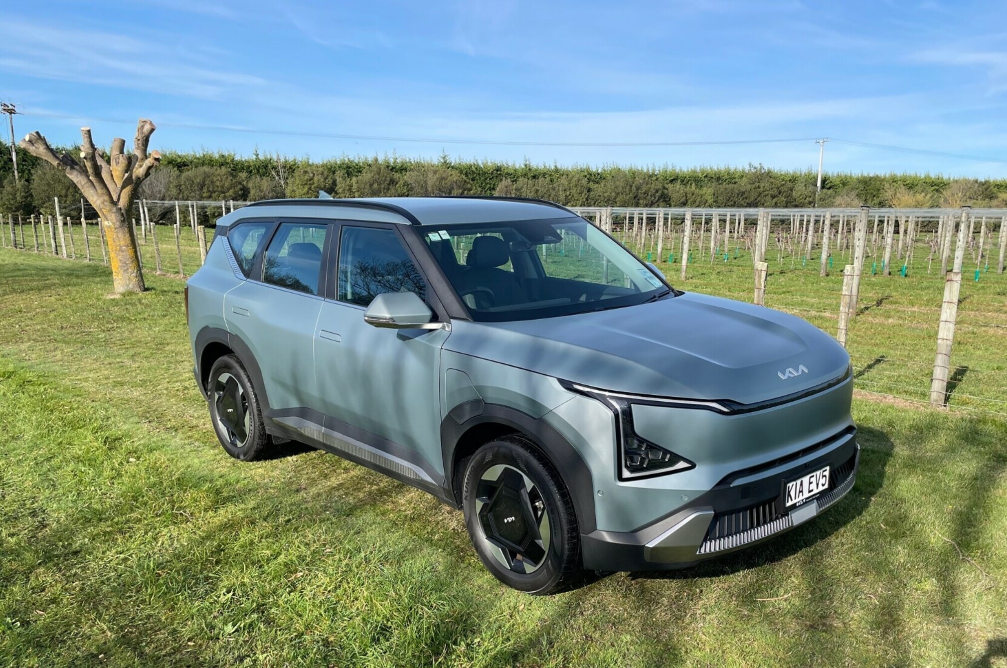 Kia ev5 light%2b on grass.
