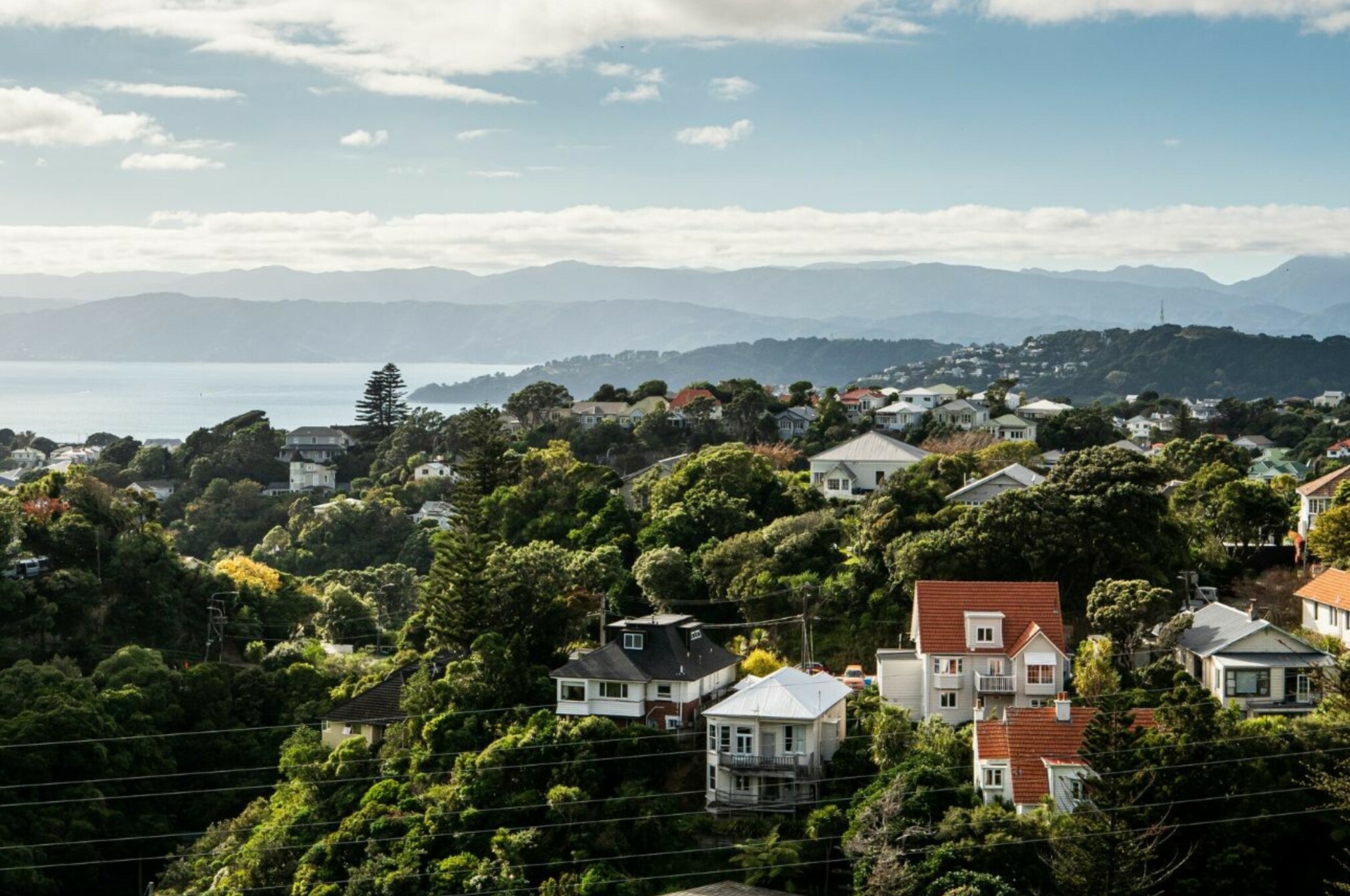 Consumer nz website promo image consumer nz insurance report