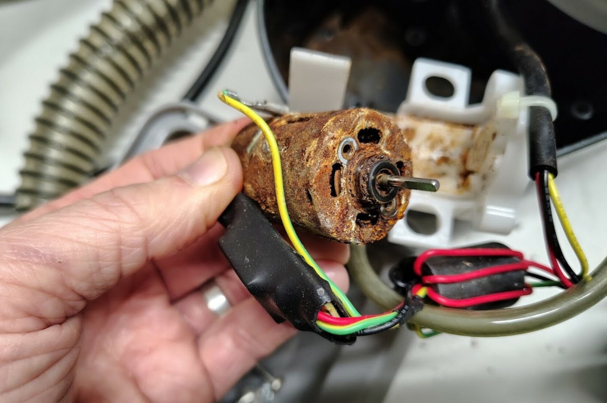 Rusty motor