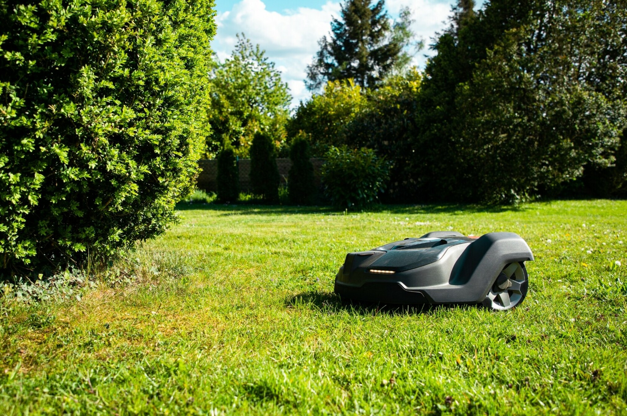 Robot lawn mower on grass