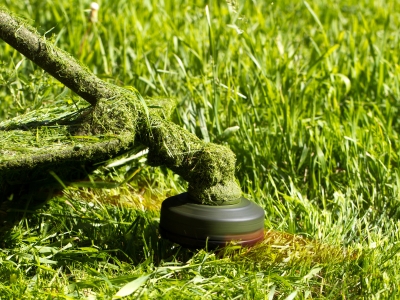 Line trimmer.