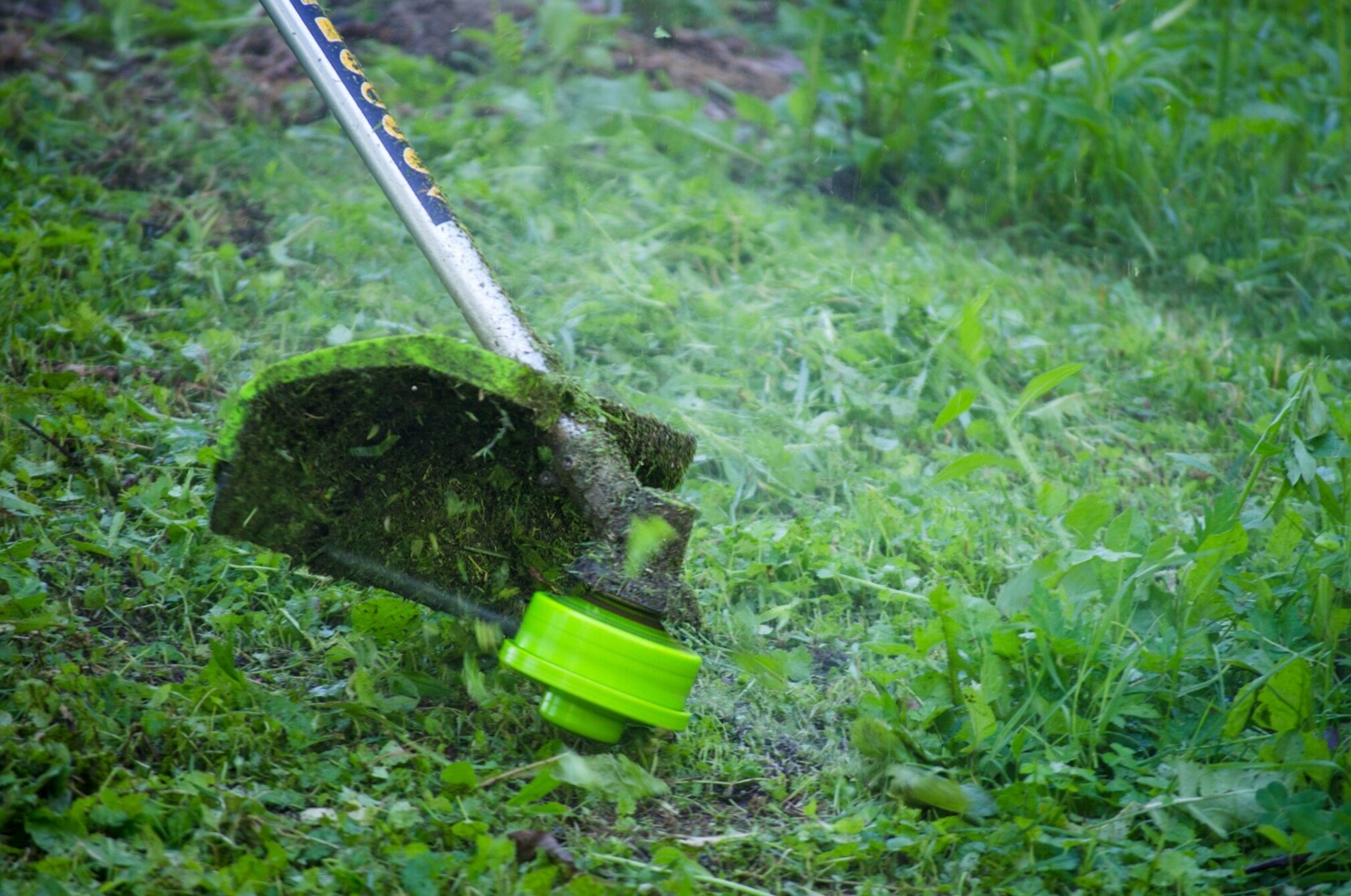 Line trimmer cutting grass