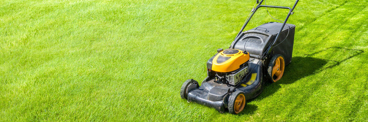 Image of a lawnmower