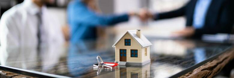 Image of agent shaking hands with client