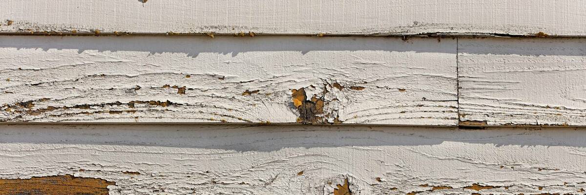 Lead paint peeling off wall.
