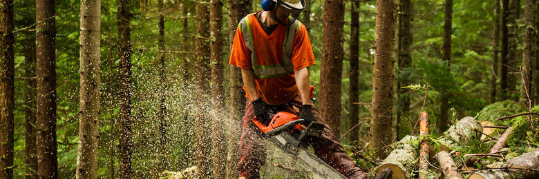 Man cutting tree with chainsaw
