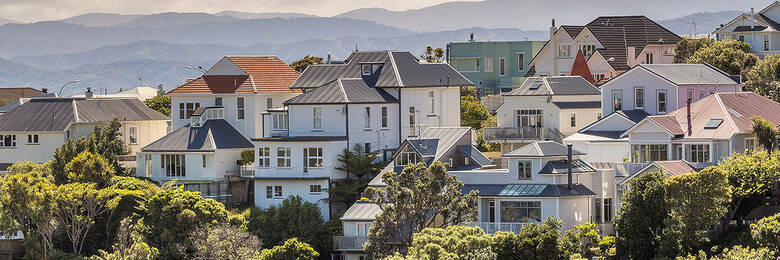 NZ homes