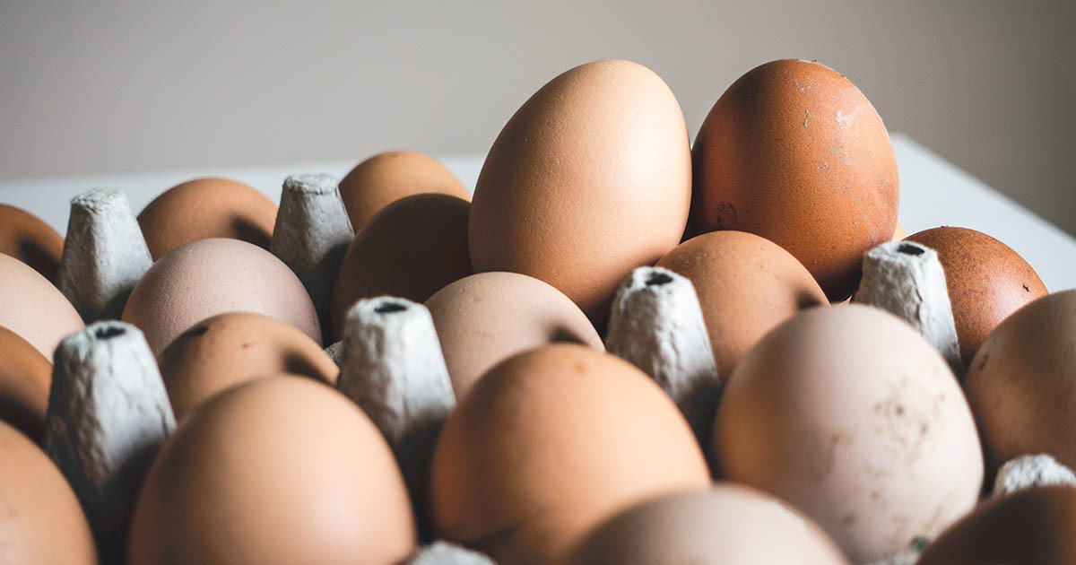 Eggs tested for salmonella bacteria Consumer NZ