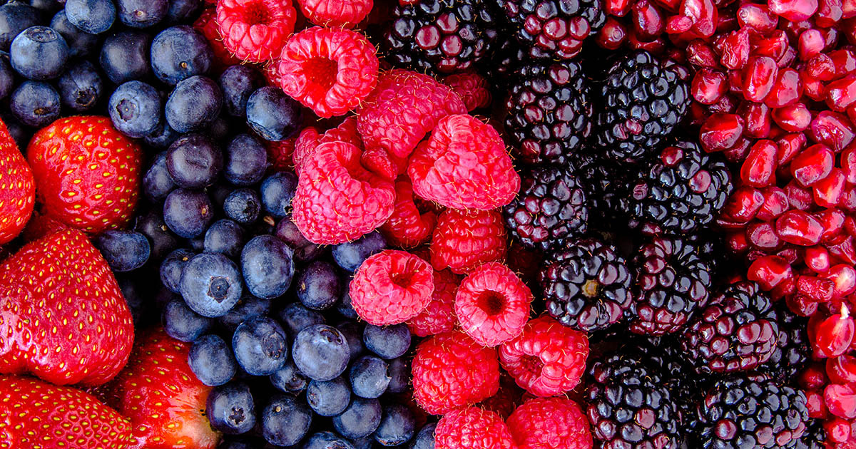 Foodstuffs South Island botches second recall in 14 months Consumer NZ