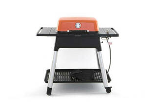 FORCE 2 Burner Gas BBQ with Stand