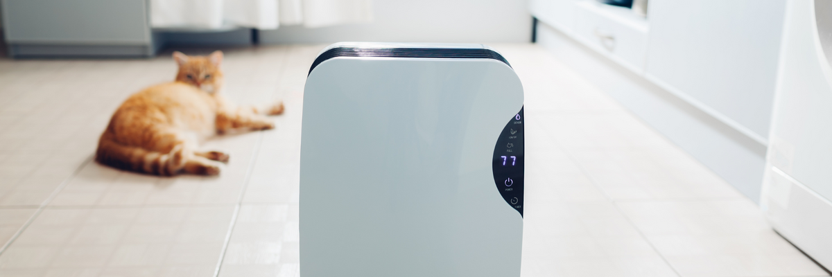 Image of a dehumidifier by a cat
