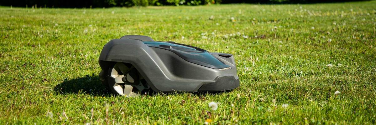 Robot lawn mower on grass.