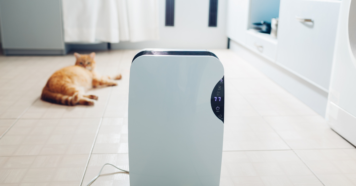Compare Dehumidifiers Best & Worst Reviews 2024 Consumer NZ